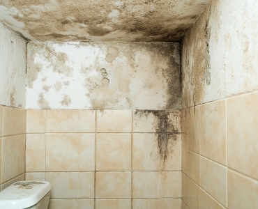 Moldy bathroom interior shows water damage on ceiling, walls. Dirty white toilet sits in corner. Dampness, mildew stains. Old house needs renovation. Interior dirty tiles. Problem with moisture