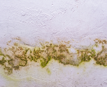 Photo of wall texture pattern